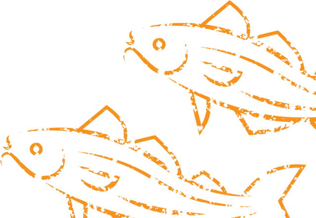 harlees_weathed_orange_fish_graphic_bottom
